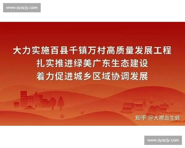 以成果导向推进项目总结复盘与经验沉淀促进持续优化与高质量发展